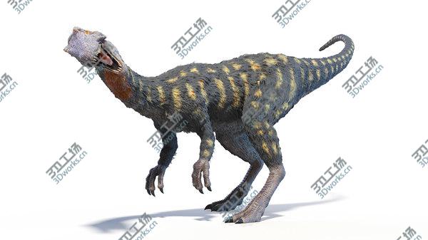 images/goods_img/20210312/Coelophysis Animated model/4.jpg
